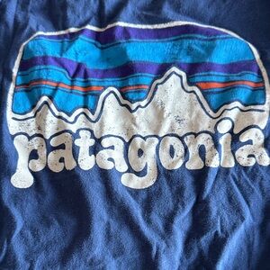 Patagonia Woman Blue Short Sleeve Tee